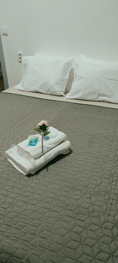 Vila Santa Cruz Guest House 브라가 외부 사진